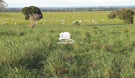 Fazenda para Venda em Gurupi, Área rural com expansão consolidada