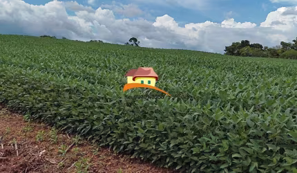 Fazenda para Venda em Pedro Afonso, Área rural com expansão consolidada