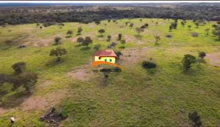 Fazenda para Venda em Palmas, Área Rural de Palmas