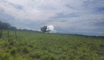 Fazenda para Venda em Pequizeiro, Área Rural Vale do Araguaia