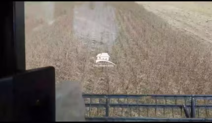 Fazenda para Venda em Palmas, Área Rural