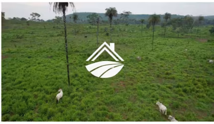 Fazenda para Venda em Araguaína, Área Rural de Araguaína