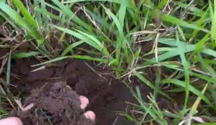 Fazenda para Venda em Araguaína, Área Rural de Araguaína