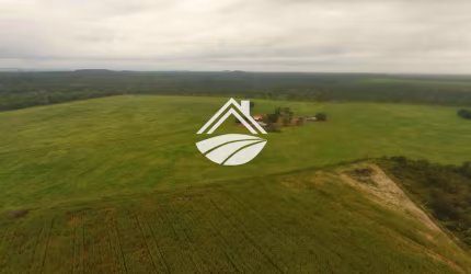 Fazenda para Venda em Araguaína, Área Rural