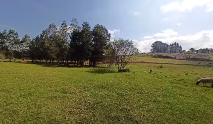 Terreno à venda na Linha Colonia Cella, Interior, Chapecó por R$ 900.000