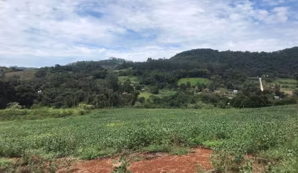 Terreno à venda na Linha Tafona, Interior, Chapecó por R$ 1.915.000
