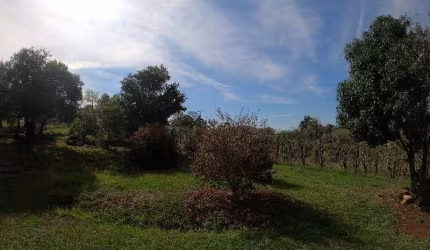 Terreno à venda na Rodovia SC-480, S/N, Centro (Marechal Bormann), Chapecó por R$ 5.396.000