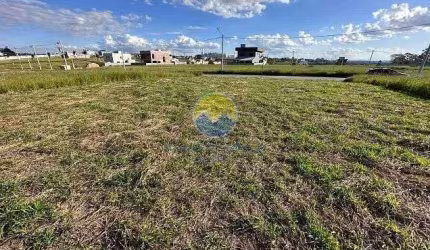 Terreno à venda, 250 m² por R$ 320.000,00 - Jardim das Flores - São José dos Campos/SP
