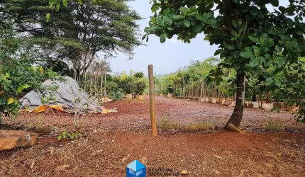Sítio à venda  42.350 m² na Limeira x Piracicaba