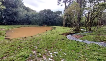 Área de terra bairro Linha Imperial, Nova Petrópolis.RS