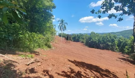 Área de terra bairro Quatro Cantos, Picada Café.RS