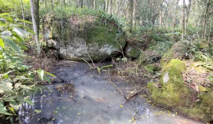 Área de terra bairro Linha Olinda, Nova Petropólis.RS