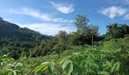 Terreno bairro Joaneta, Picada Café.RS