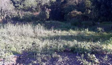 Terreno bairro São João, Picada Café.RS