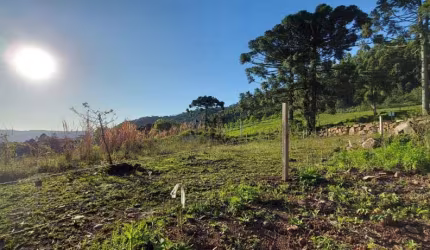 Área de terra bairro Linha Brasil Fundos, Nova Petrópolis.RS