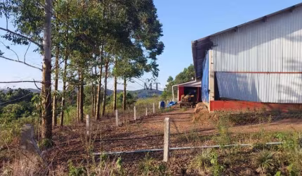 Área de terra bairro Linha Passo Fundo, Linha Nova. RS