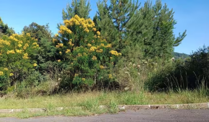 Terreno bairro Joaneta, Picada Café.RS