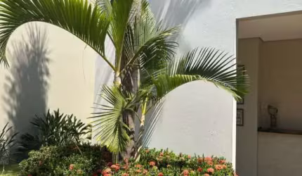 Casa Para Venda No Bairro Vigilato Pereira