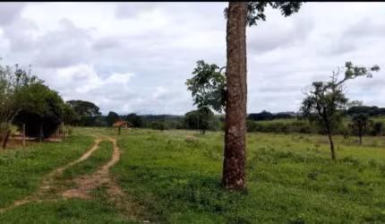 Para Venda No Bairro Tocantins