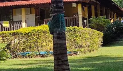 Chácara Para venda Emborcação