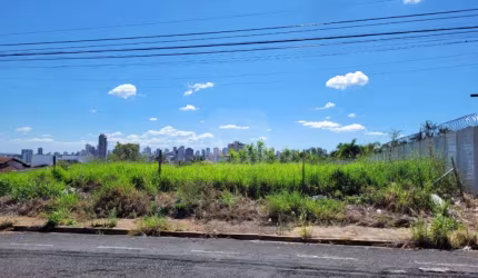 Terreno Para Venda No Bairro Altamira