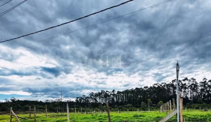 Terreno Loteamento La Vitória Criciúma