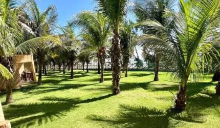 Imóvel para venda possui 70 metros quadrados com 2 quartos em Cumbuco - Caucaia - CE