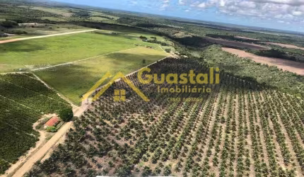 Fazenda/Sitio para Venda, Centro, Caraiva