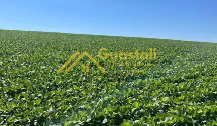 Fazenda com plantação de amendoim em Torrinha/SP de 484 alqueires