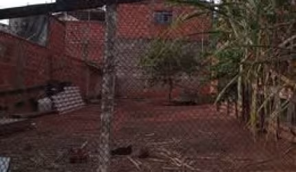 Vende-se terreno   Bairro Prof. Antônio da Silva Penteado  Marília-SP