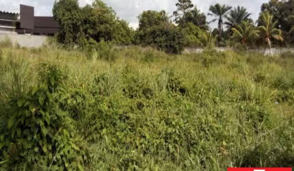 Terreno à venda na Rua Sucupió, 1, Abrantes, Camaçari por R$ 4.000.000