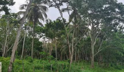 Terreno à venda na Abrantes, Abrantes, Camaçari por R$ 3.600.000