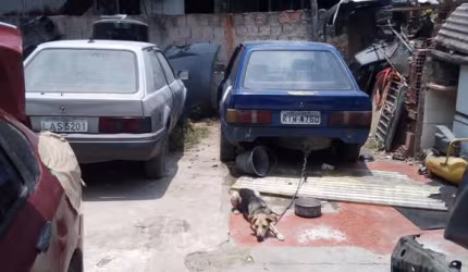 Terreno à venda na Rua Gurupa, Penha, Rio de Janeiro - RJ