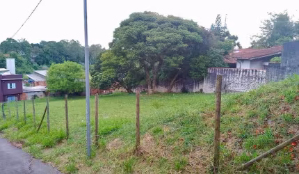 Terreno à venda na Avenida Dona Cherubina Viana, Vila Santo Antônio, Cotia - SP