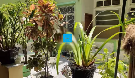Apartamento para alugar na Rua Pedro Américo, Catete, Rio de Janeiro - RJ