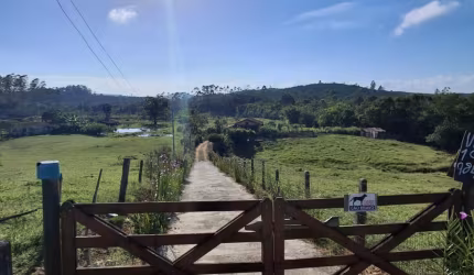 Chácara linda, com árvores frutíferas e nascente