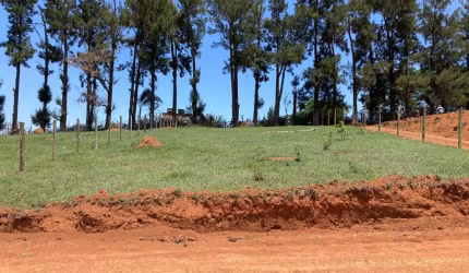 45T-'OPORTUNIDADE ÚNICA EM IGARATÁ!'