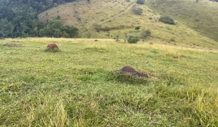 TERRENO PRONTO PARA CONSTRUÇÃO