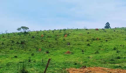 SEU TERRENO PARA CASA DE CAMPO ESTAAQUI EM IGARATÁ!