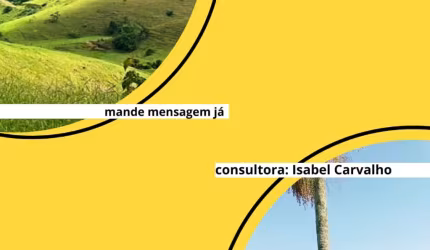 Investimento Inteligente com Qualidade de Vida