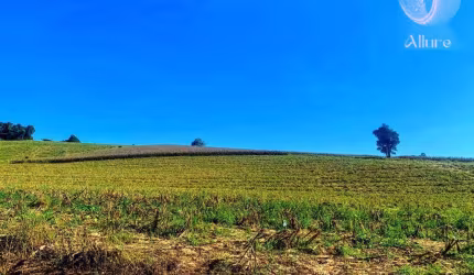 Terreno à venda na Rua José Prianti Sobrinho, 801, Fazenda São Martinho, Igaratá, 600 m2 por R$ 79.900