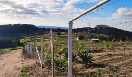 07C- SEU SONHO ESTA AQUI
