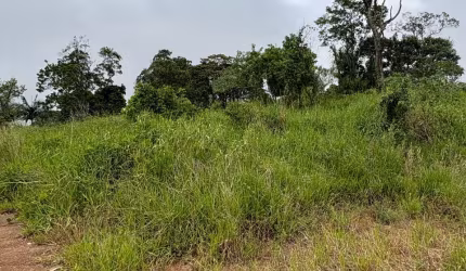 - TERRENO COM ÁREA VERDE