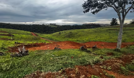 liberdade e contato com a natureza.