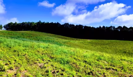 TERRENO 600M² COM VISTA PARA A NATUREZA