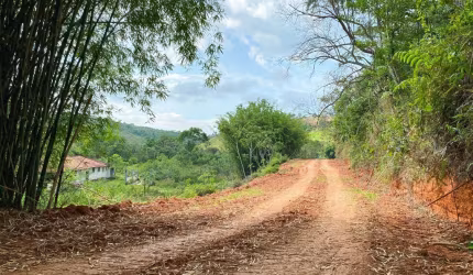45T-LOTE PLANO