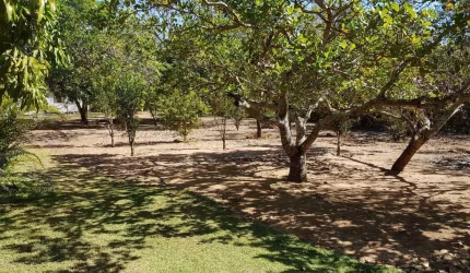 Chácara à venda na Beira de Rio Santo Antônio do Leverger