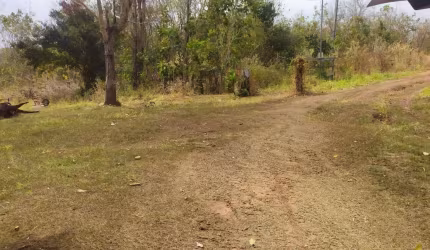 Vendo Sitio com 50 Hectares na Jangada Roncador