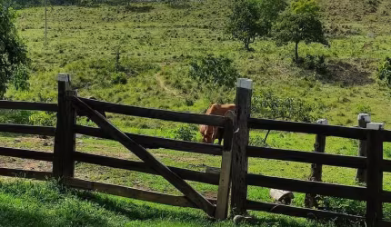Vende-se Fazenda com 134 hec na BR 070 Poconé