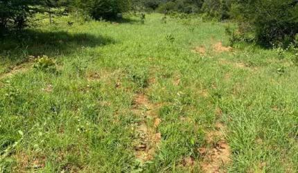 Fazenda Tocantins
